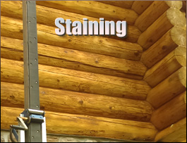  Saxe, Virginia Log Home Staining